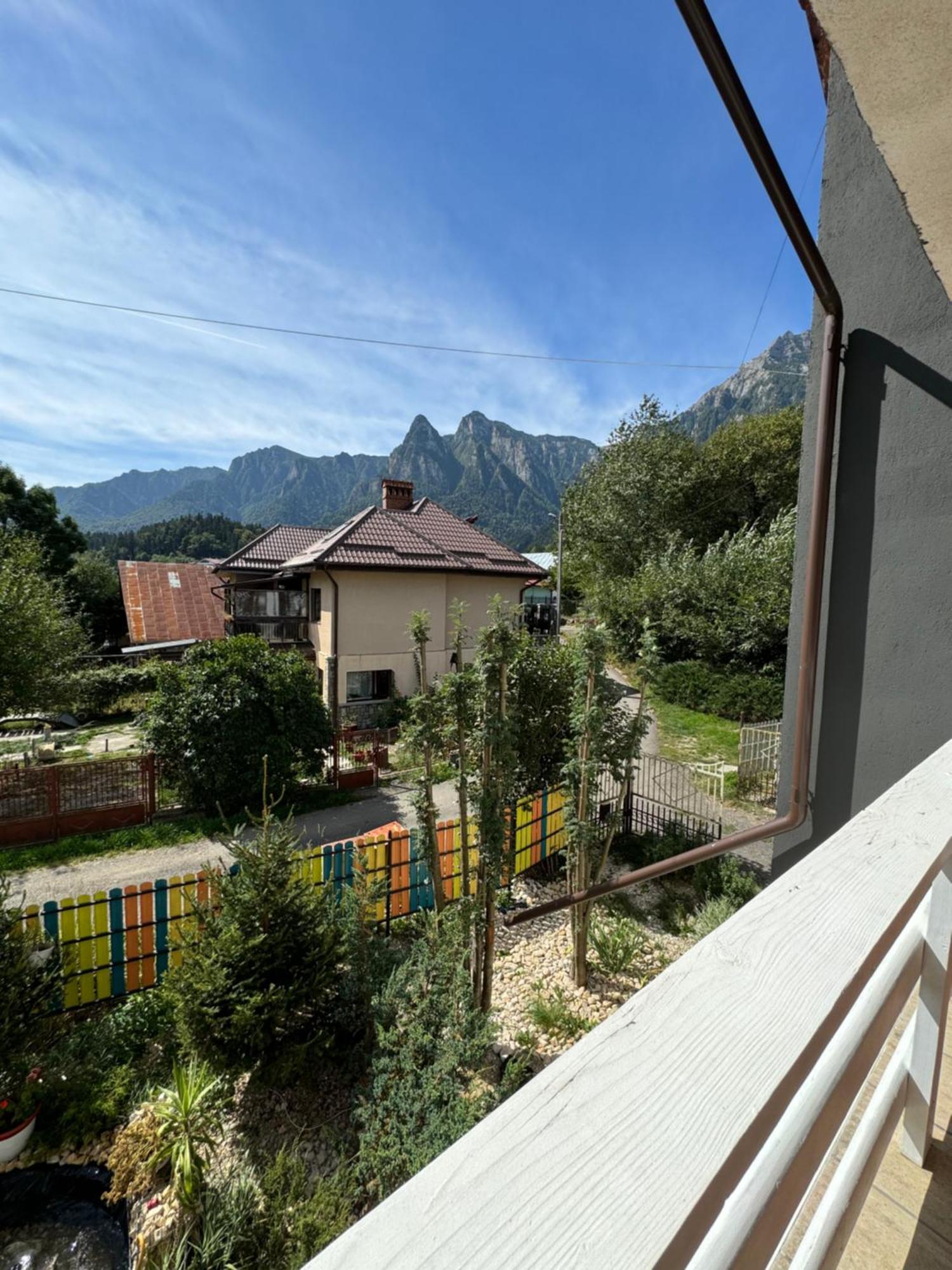 Casa David Hotel Buşteni Exterior foto