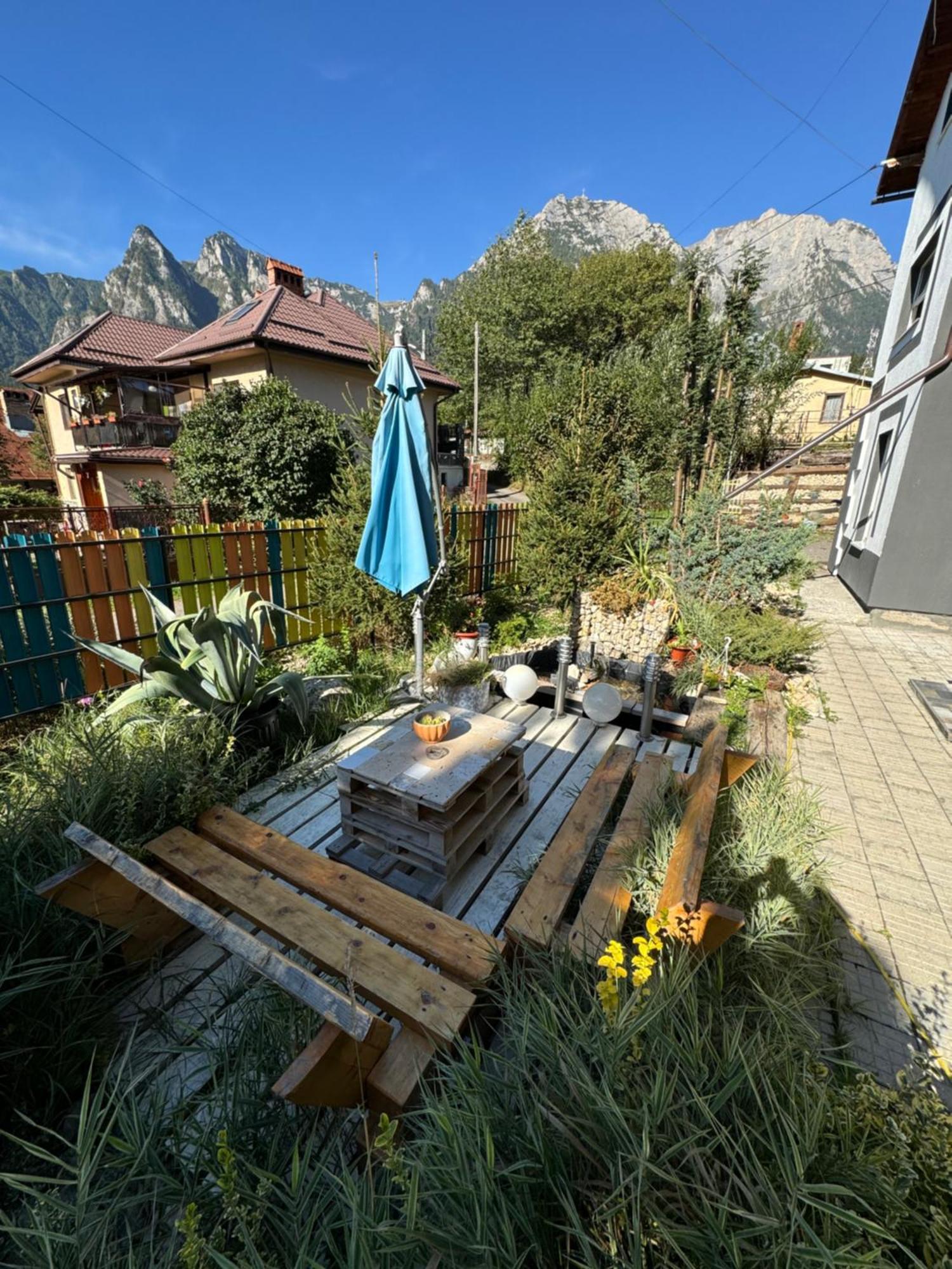 Casa David Hotel Buşteni Exterior foto